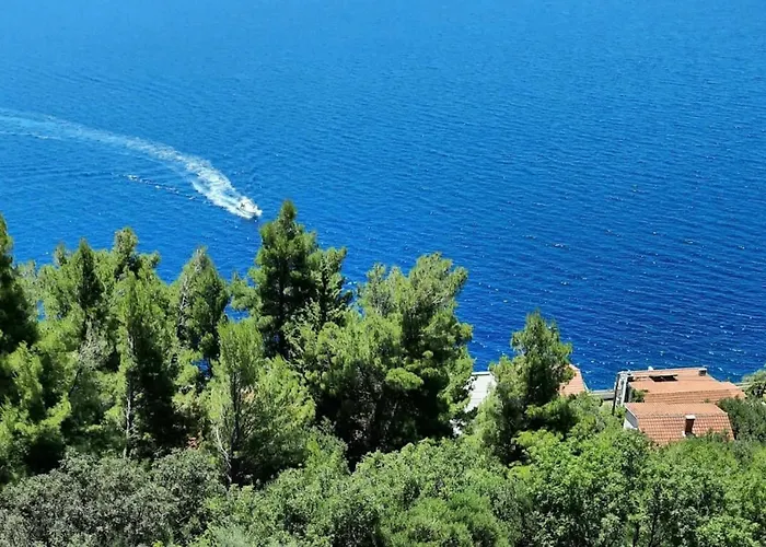 Blue Dream Pisak * Makarska